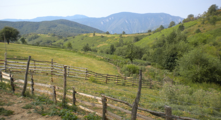seminando-il-ritorno-3